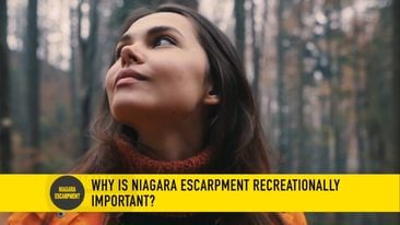 Niagara Escarpment YouTube Video preview photo