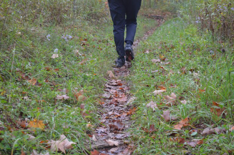 Hiker's Legs on Trail
