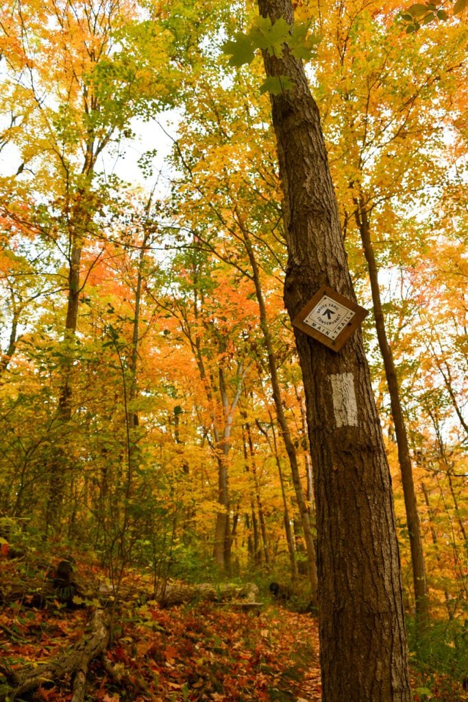 Diamond trail marker and blaze on tree in fall forest