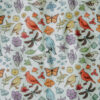 Rainbow of Wilderness Buff-5 BTC Rainbow of Wilderness Buff
