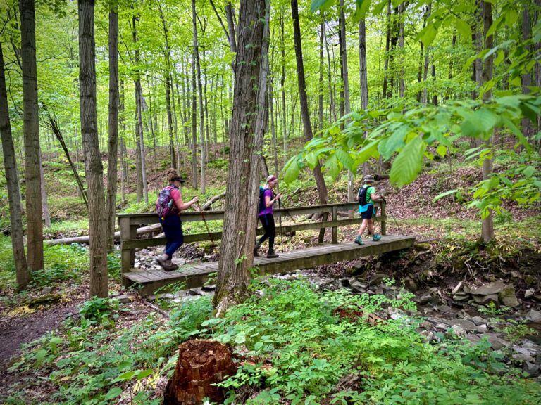 Hike-a-thon 2026