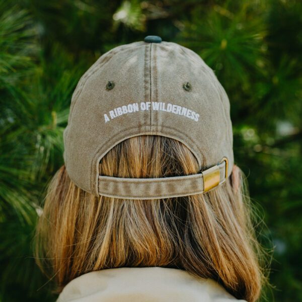 BTC Ribbon of Wilderness Hat