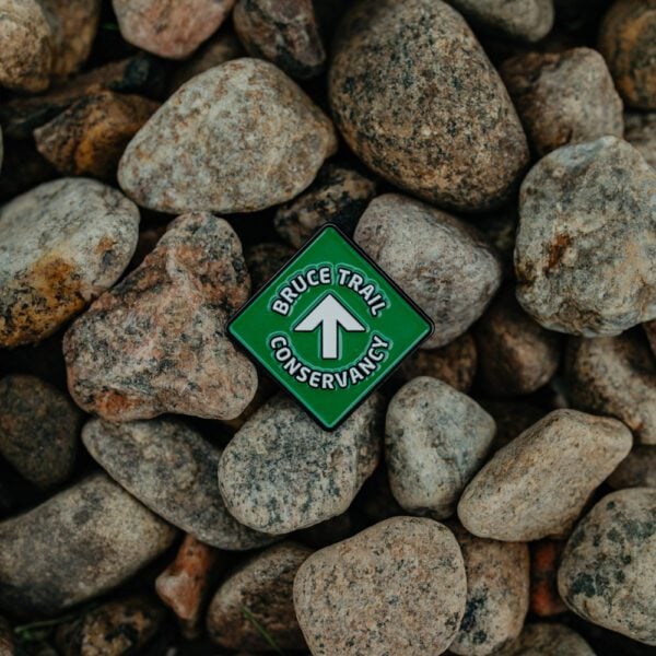 BTC Diamond Pin