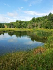 Whitetail Refuge Stream Restoration
