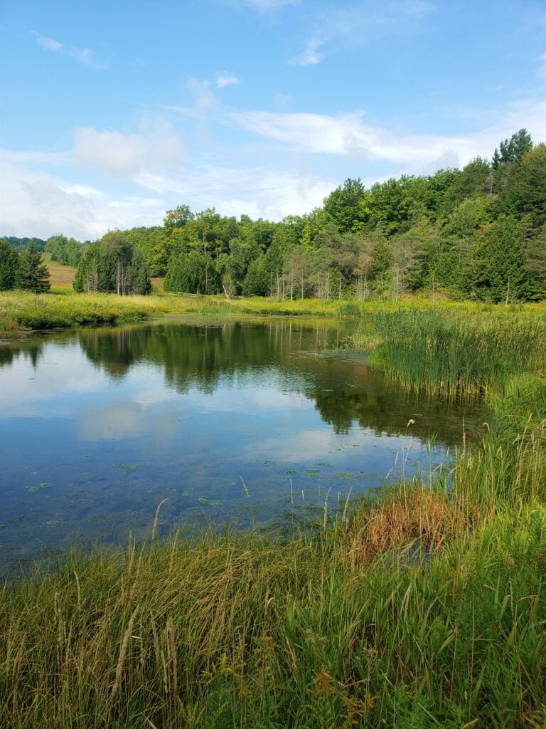 Protected: Whitetail Refuge Stream Restoration