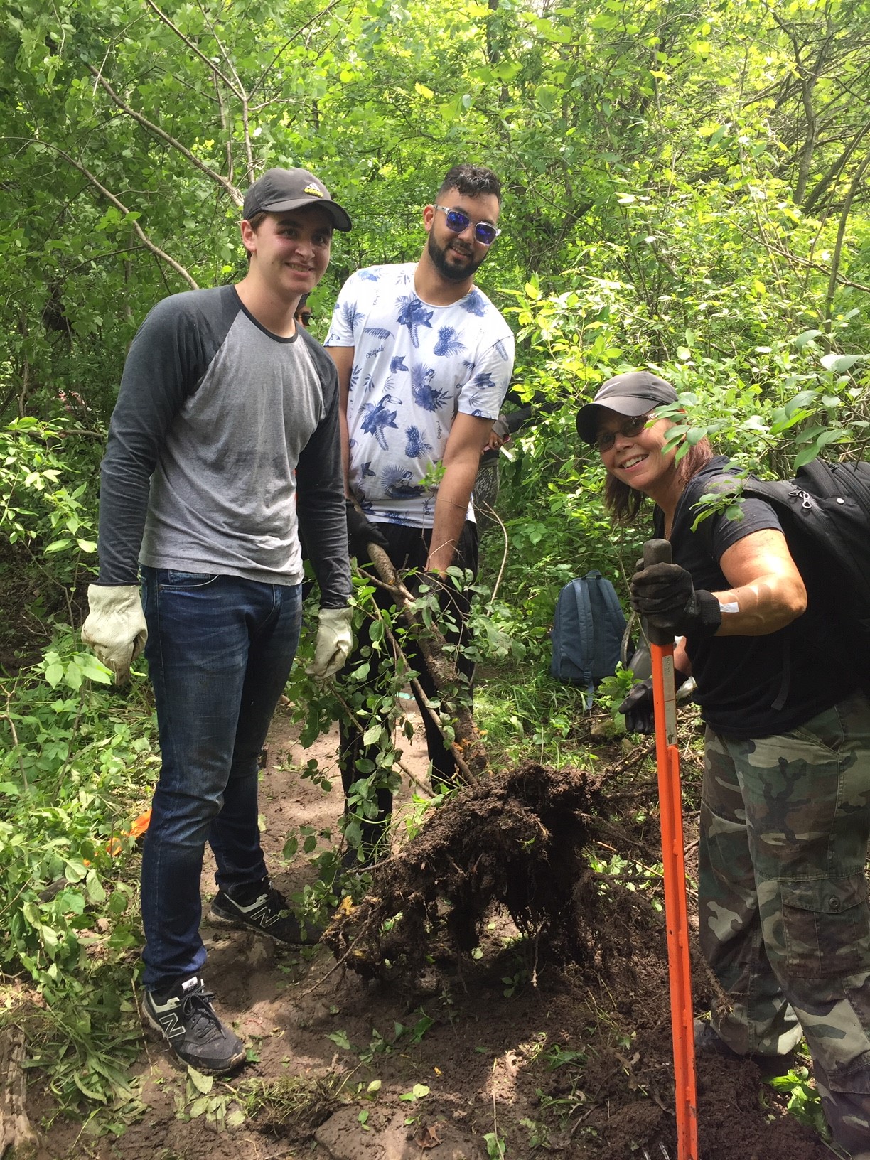 Buckthorn Busting