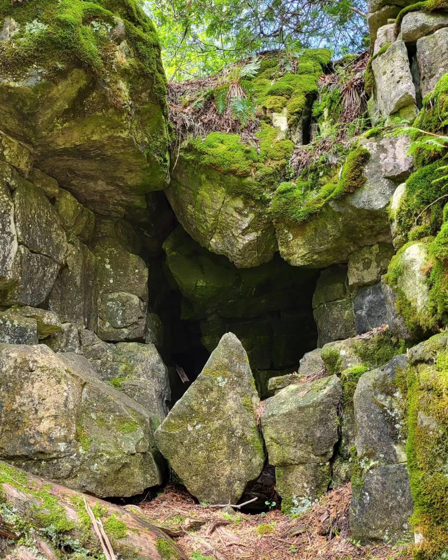 Geology Hike at Rock Hill