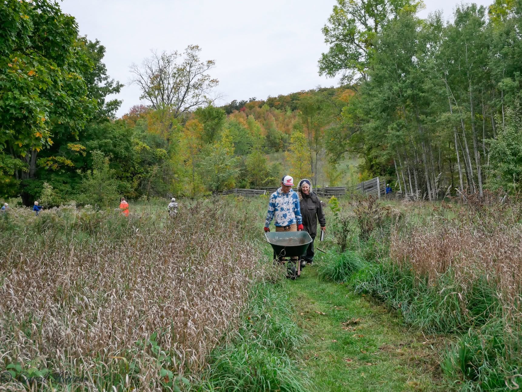 Tree Planting at Rockview Bluffs