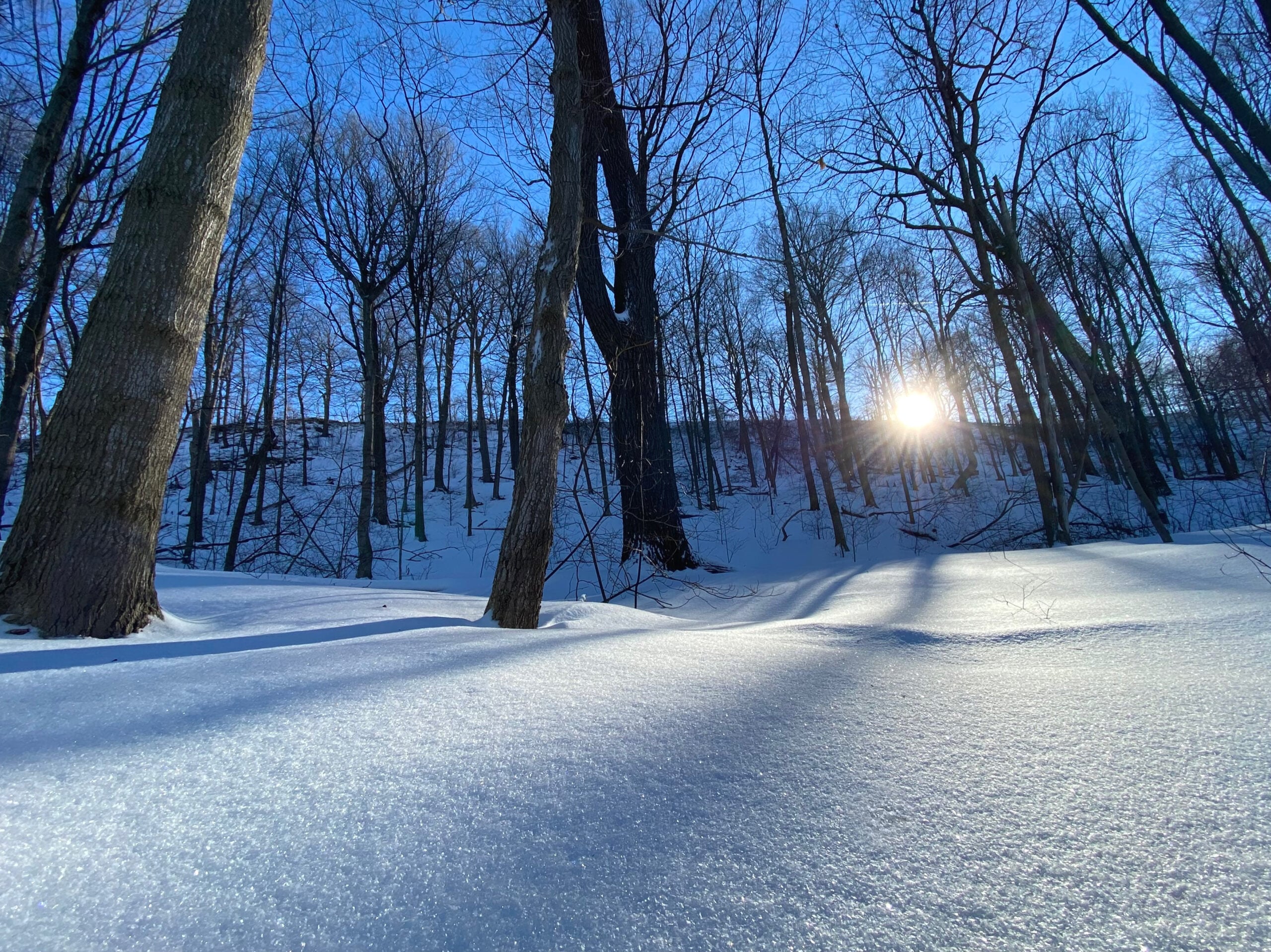 Winter Solstice and Long Night Supermoon