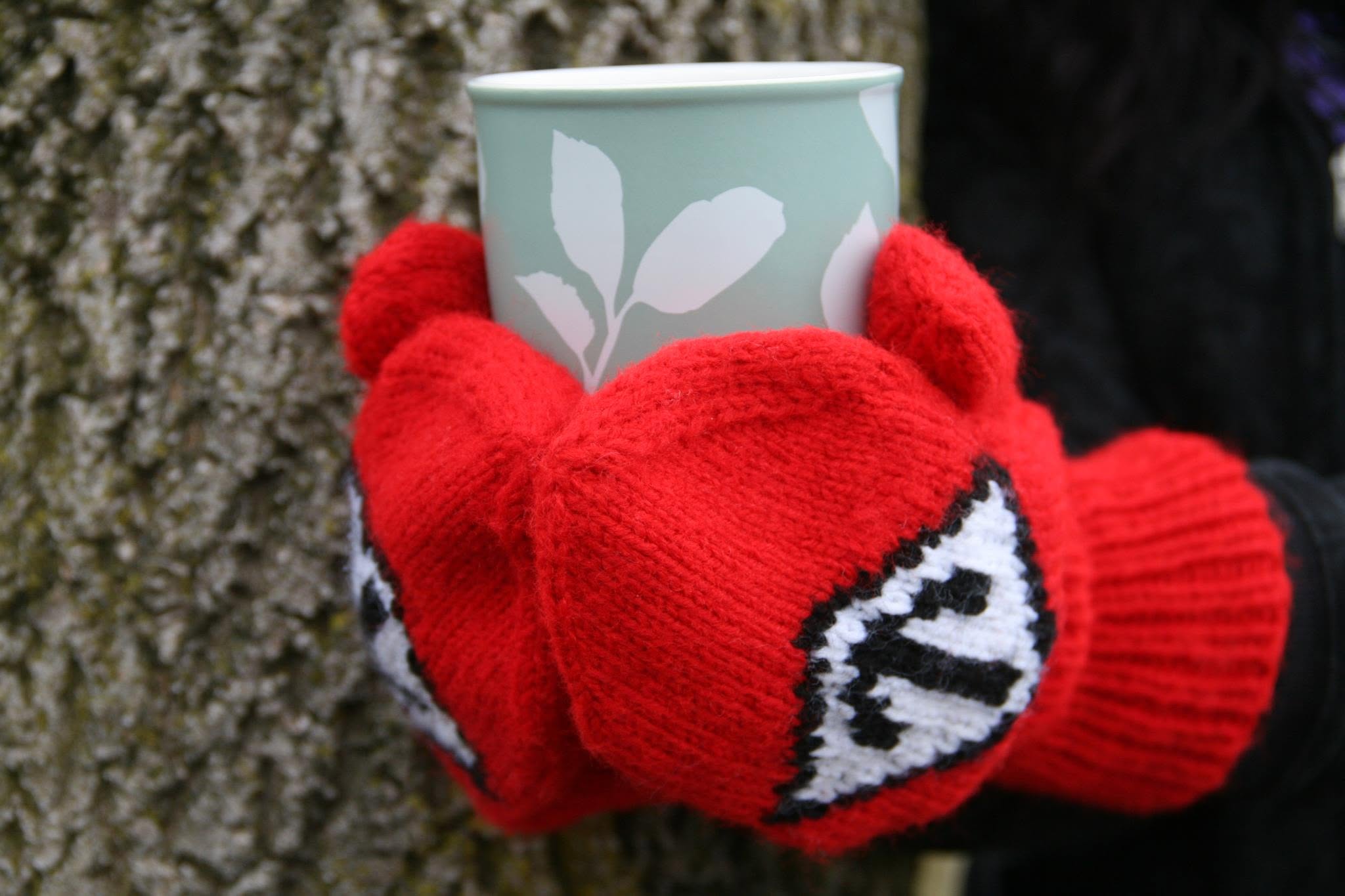 Hiking and Hot Chocolate!