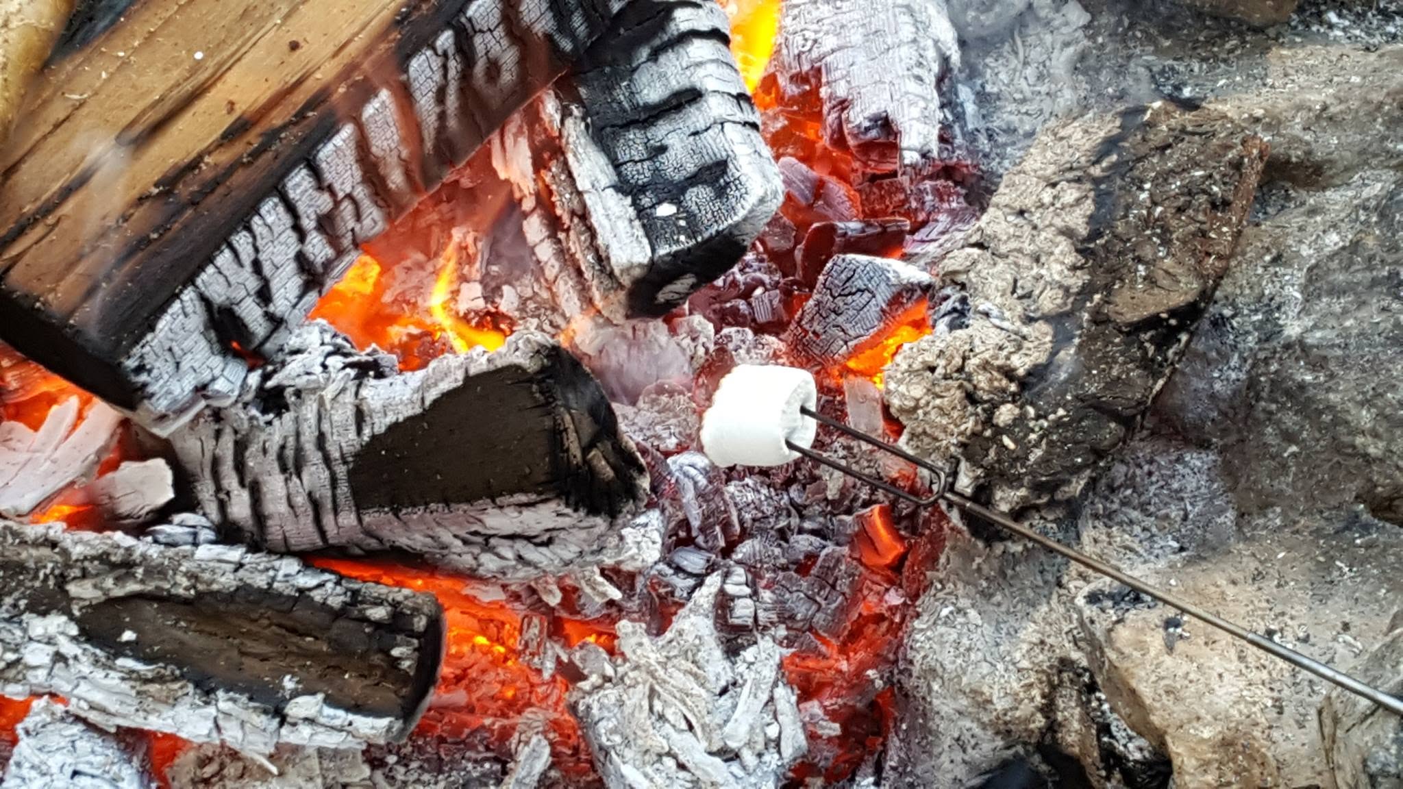 Family Day Campfire and Hike