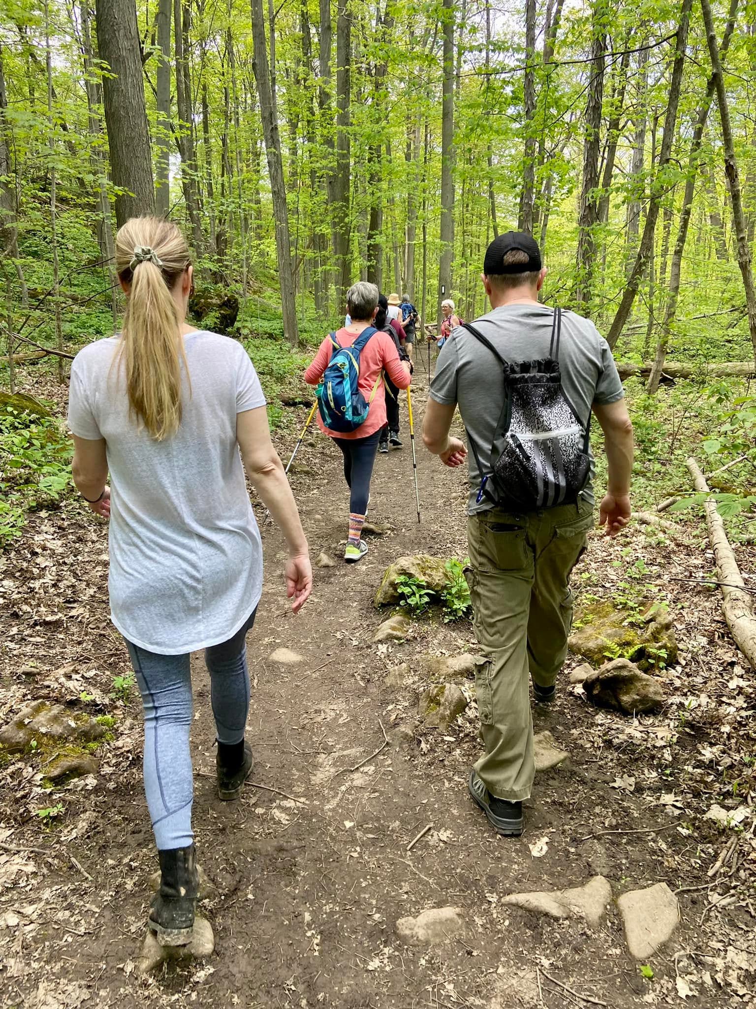 Family Hike on the Tree Trail