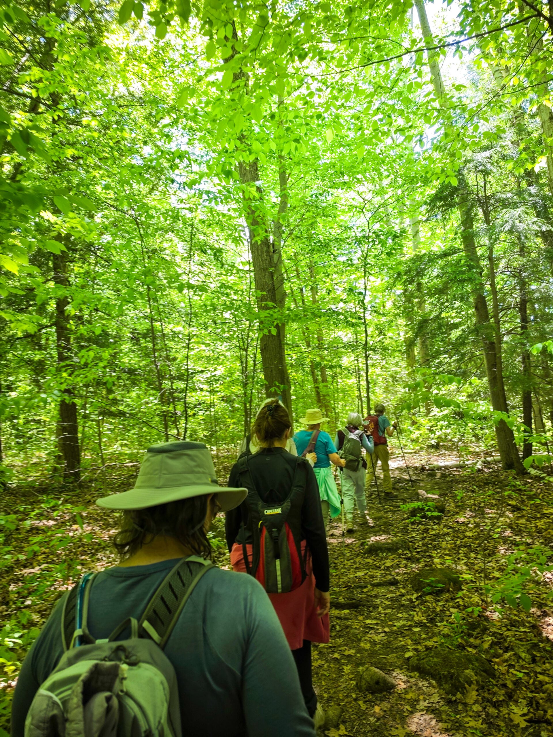 Discovering Nature, One Hike at a Time