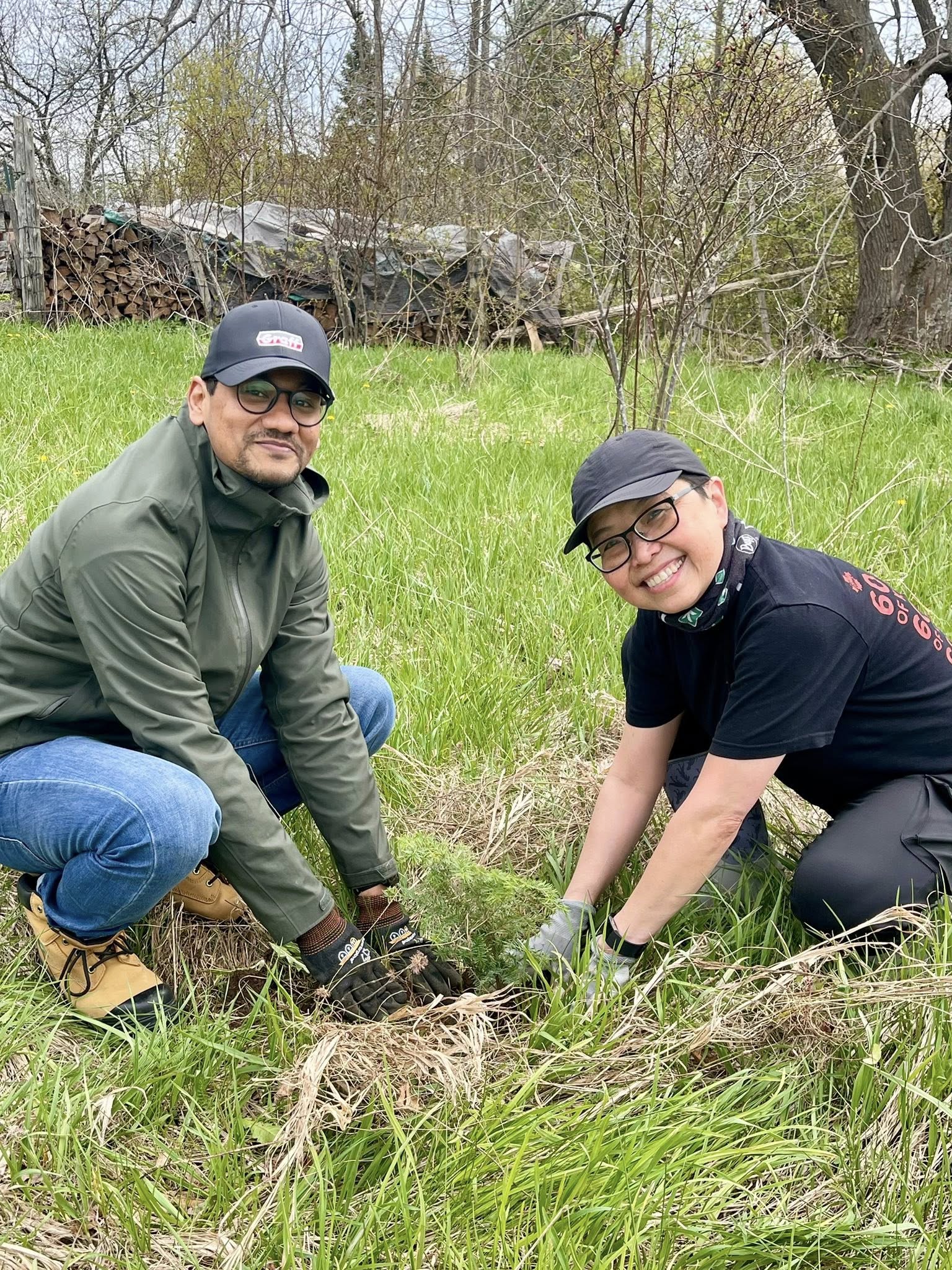 Tree Planting