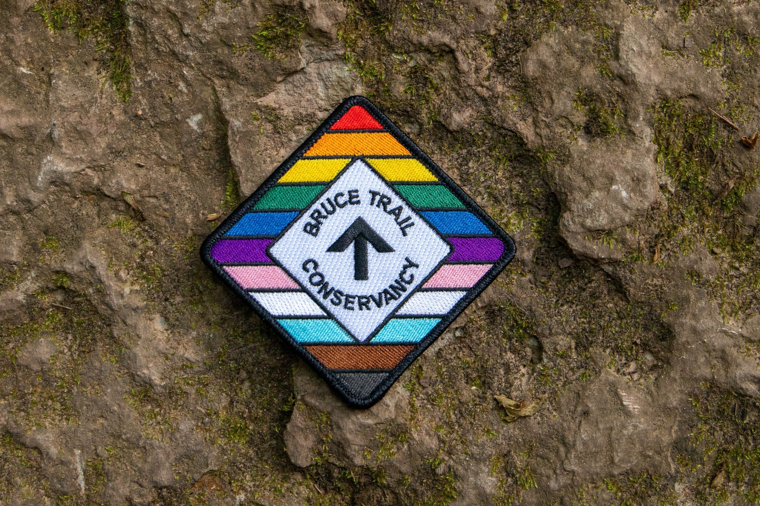 Rainbow Hike at Inglis Falls Arboretum