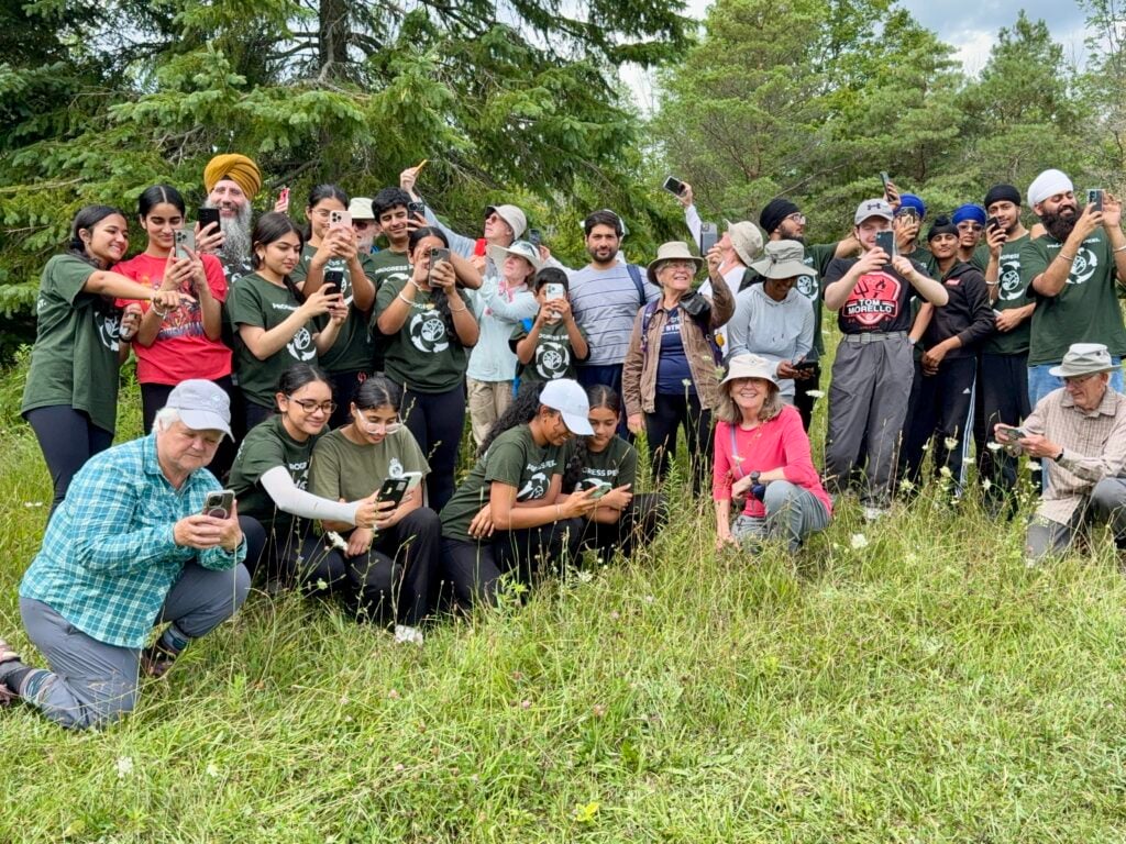 iNat Together: Find Your Nature Friends Bioblitz