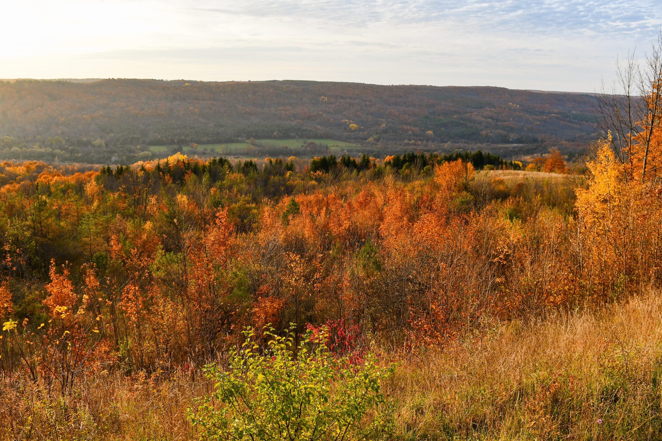 Bruce Trail Day