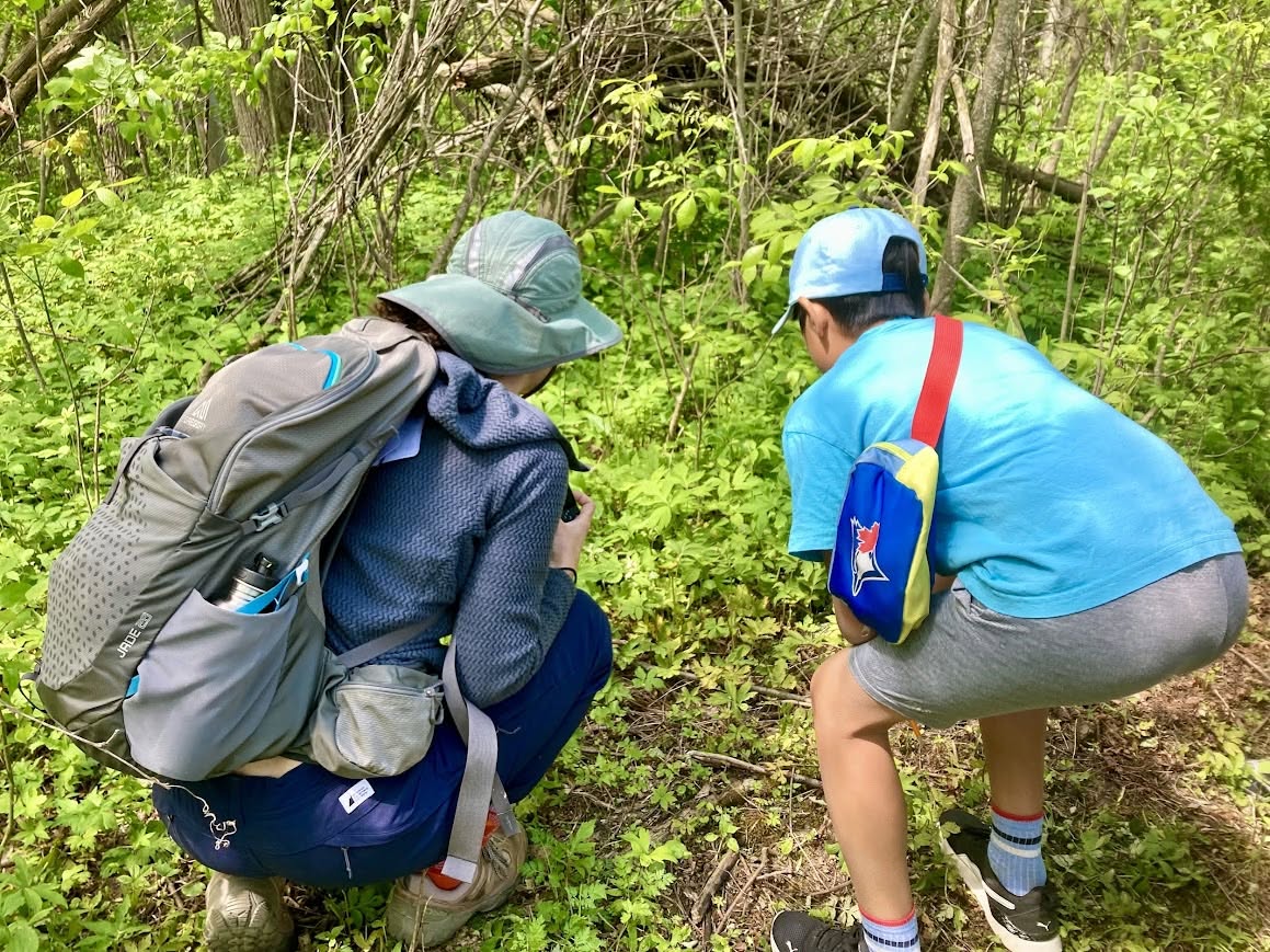 Family Fun for Bruce Trail Day (afternoon hike)