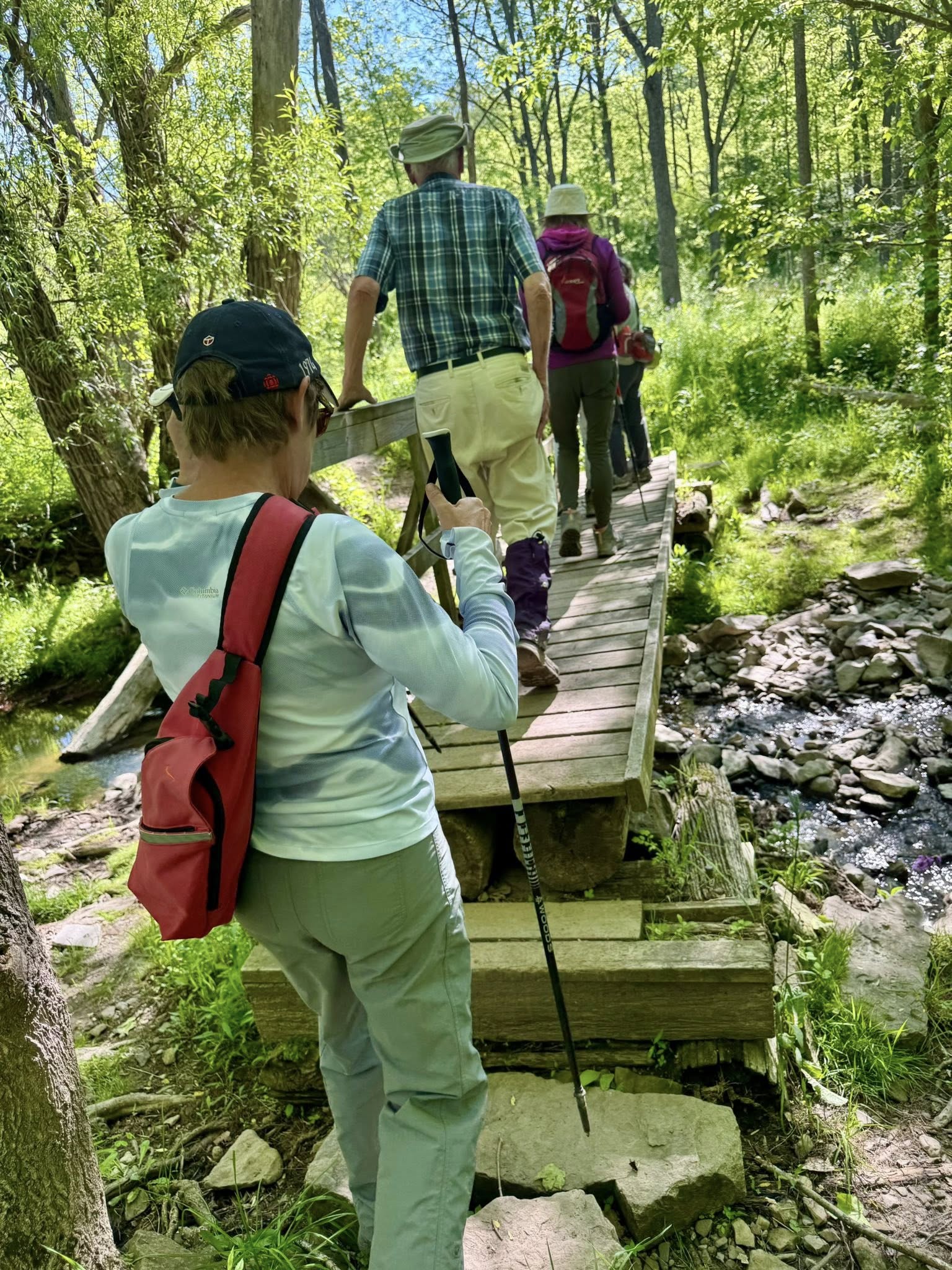 Bruce Trail: First Steps (New Hiker Intro)