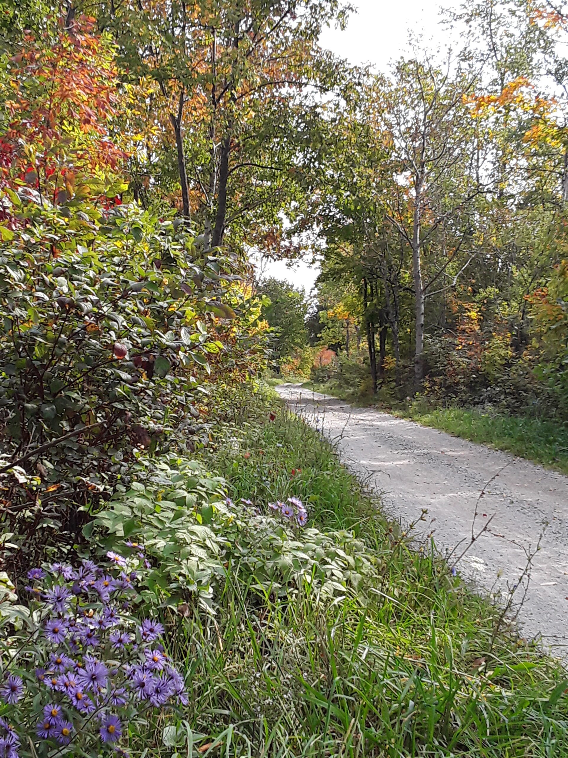 Fall Colours Hike