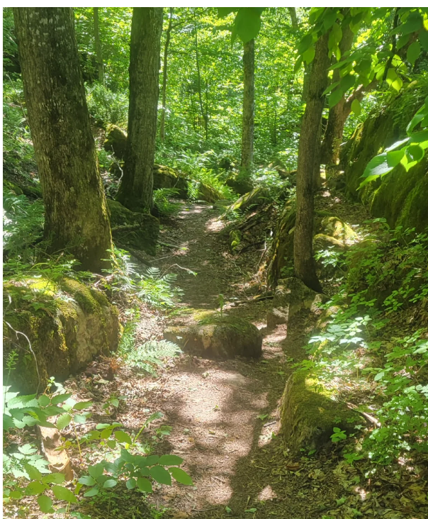 Grandparents Day Hike and Social