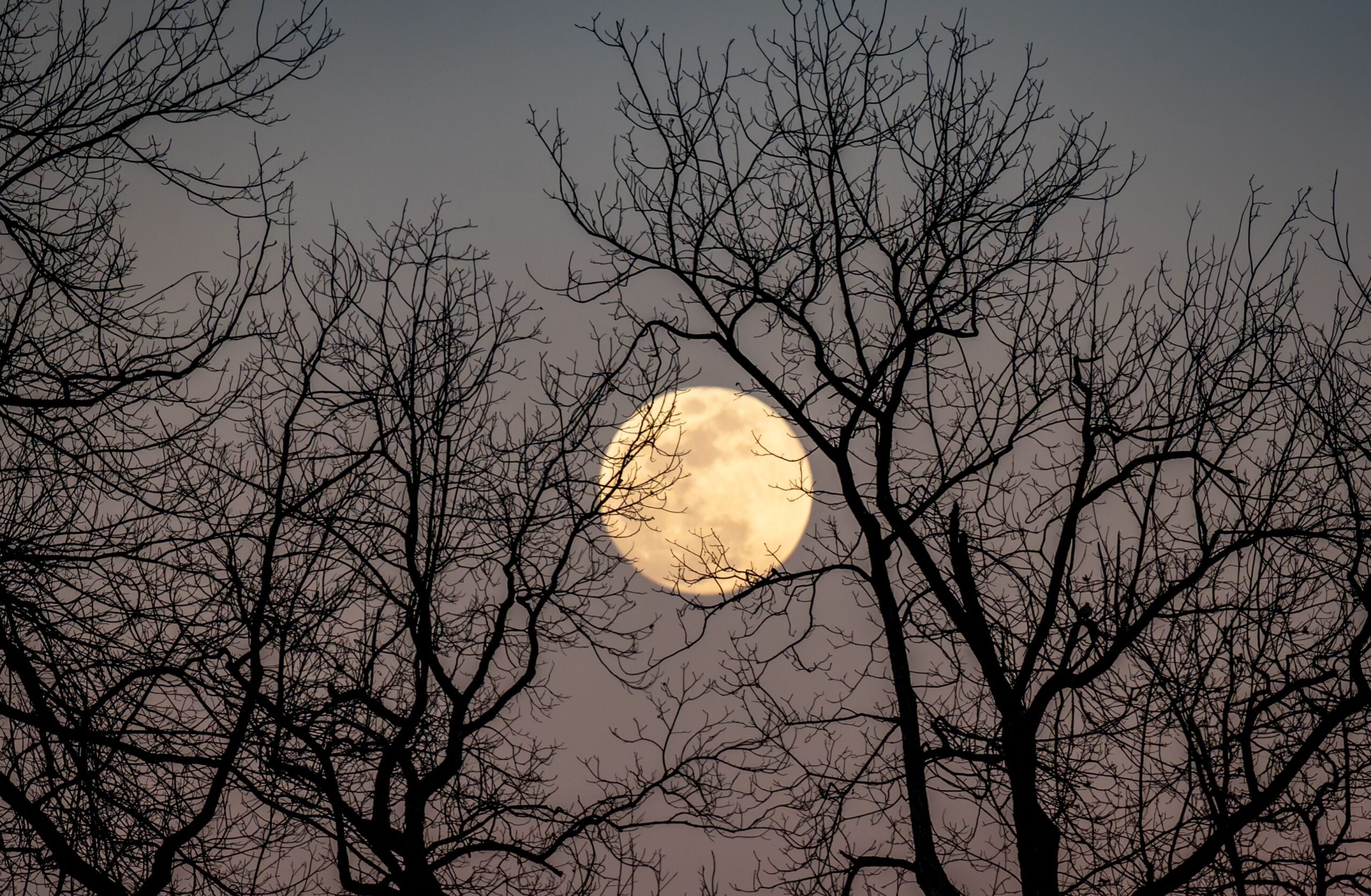 Full Moon Family Star Gazing Hike